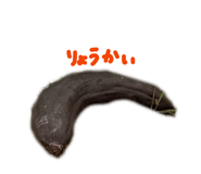 856764220