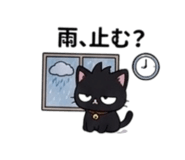 856764656