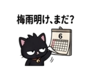 856764658