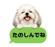 856765439