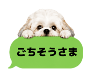 856765440