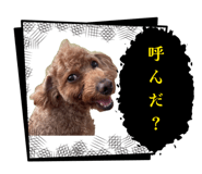 856765458