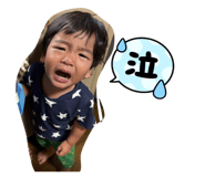 856765542