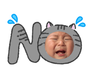 856765811