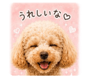 856766153