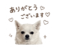 856766234
