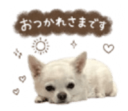 856766235