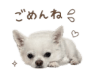856766236