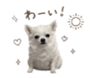 856766237