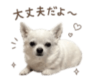 856766238