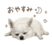 856766243