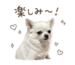 856766244