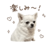 856766244
