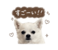 856766245
