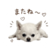 856766246
