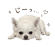 856766247