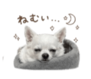 856766248