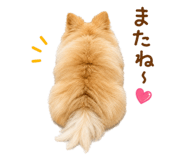 856766327