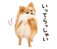 856766330