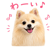 856766332