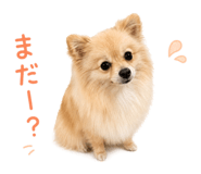 856766336