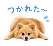 856766340