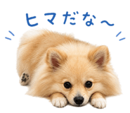 856766342