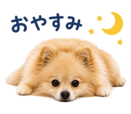 856766344