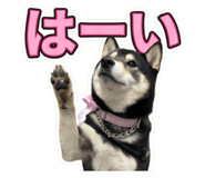 856766357