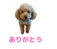 856766678