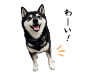 856767479