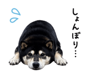 856767483