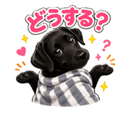856767680