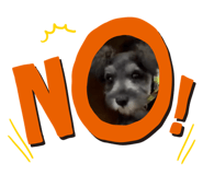856768178
