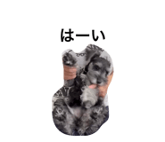 856768198