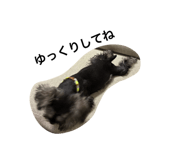 856768201