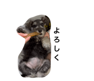 856768208
