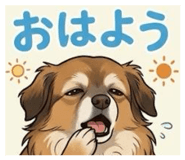 856768570