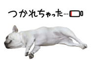 856768698