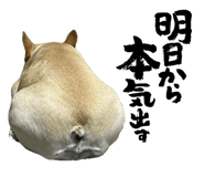 856768707