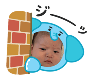 856768955