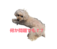 856769141