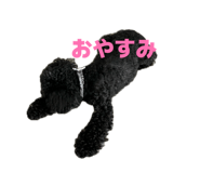 856769144