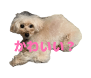 856769145