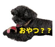 856769146