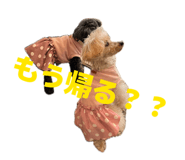 856769151