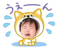 856769524