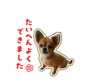 856769544