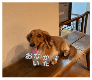 856769986