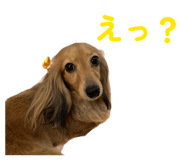 856770011